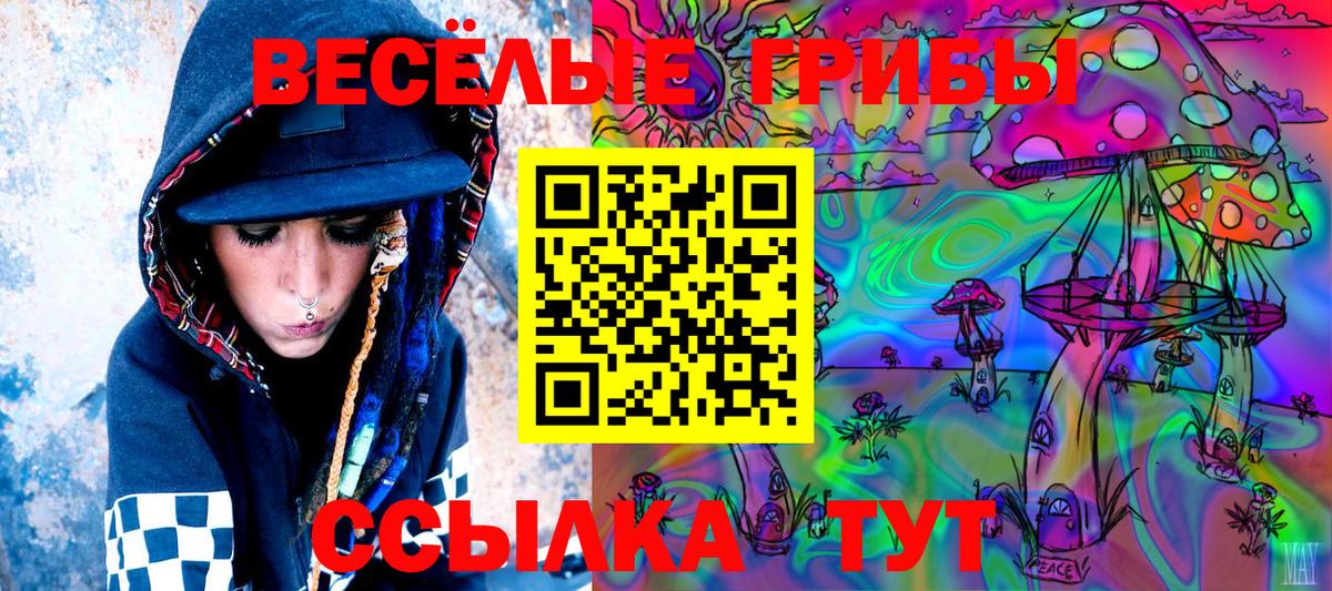 Псилоцибиновые грибы Psilocybine cubensis  Вход с VPN  Новочеркасск 