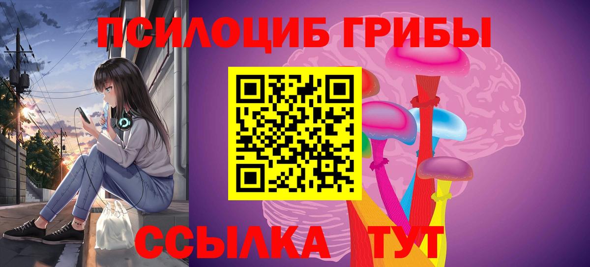 Псилоцибиновые грибы Magic Shrooms Новочеркасск